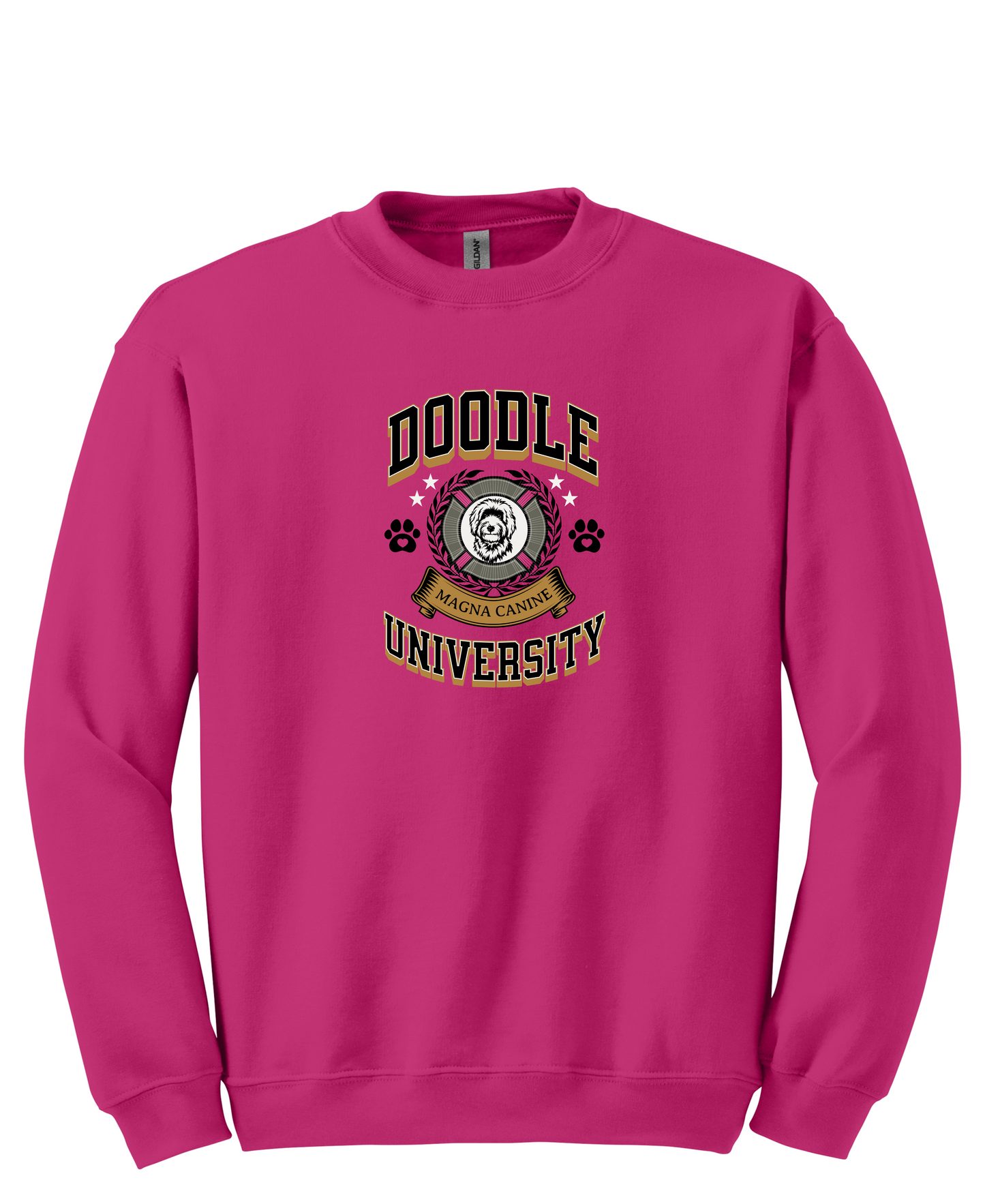 Goldendoodle University